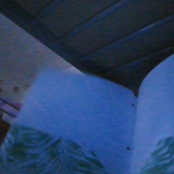 pine folder - Picture 2 of 2